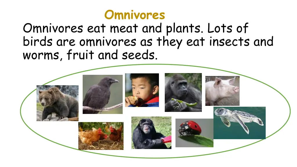 omnivores