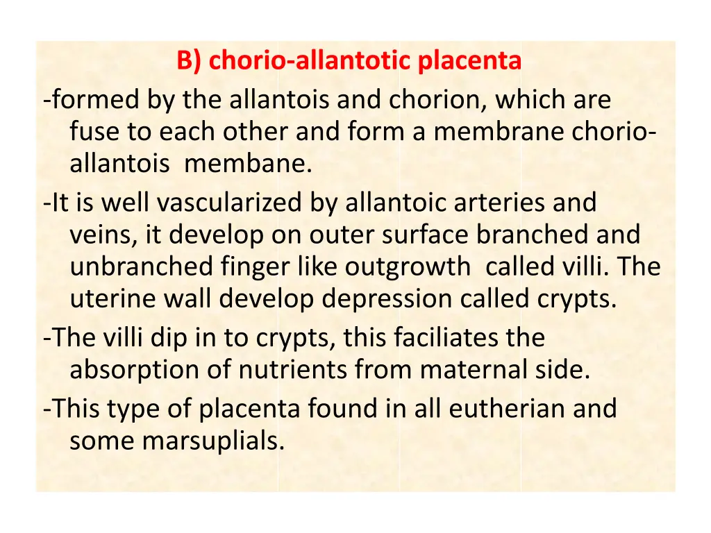b chorio allantotic placenta formed