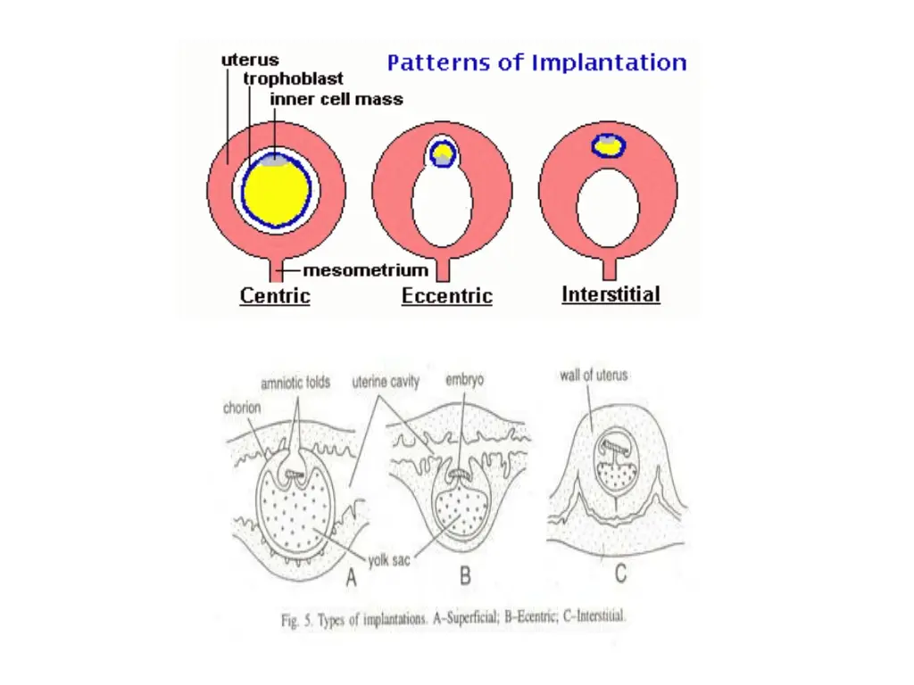 slide10