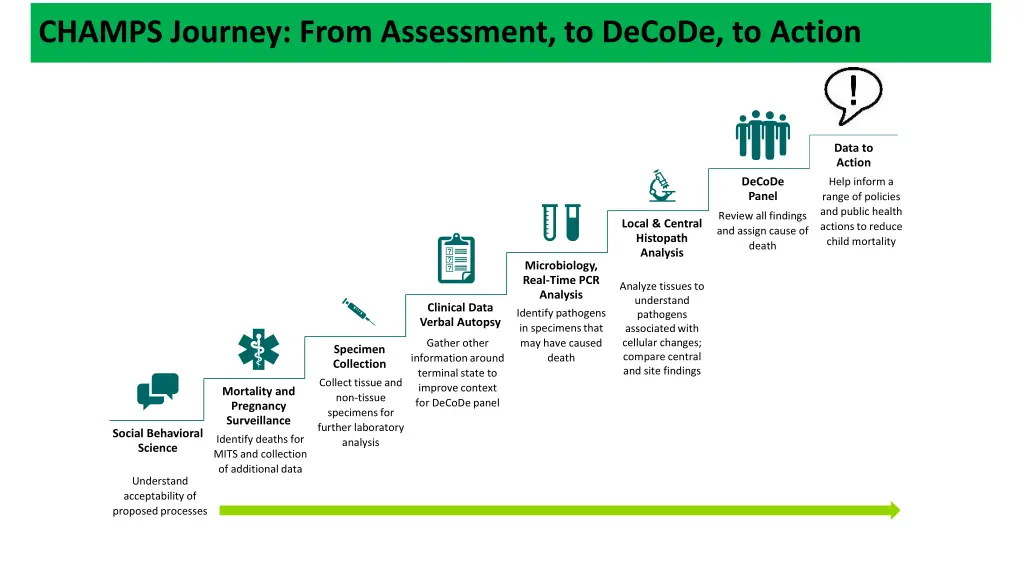 champs journey from assessment to decode to action