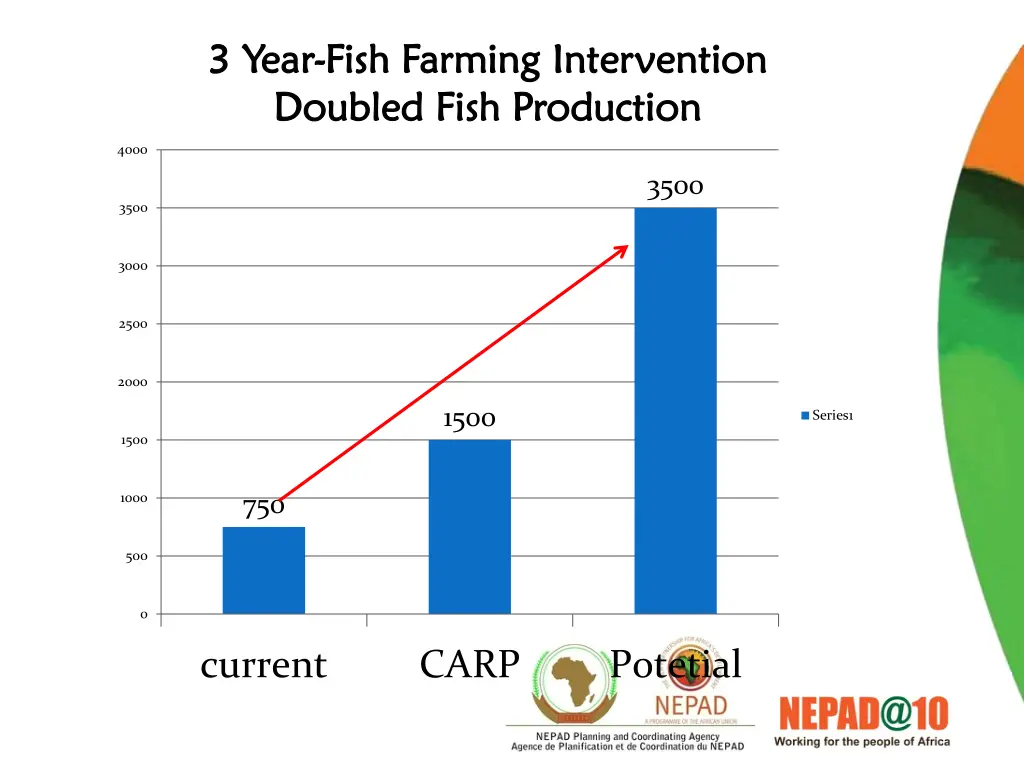 3 year 3 year fish farming fish farming