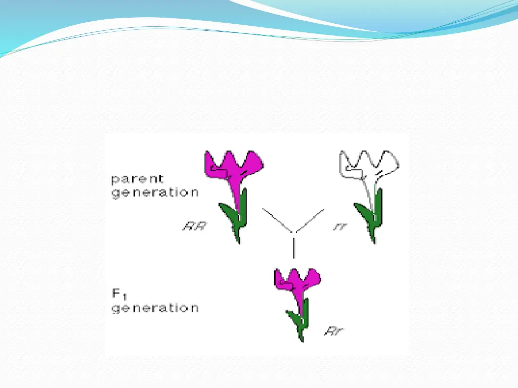 slide13