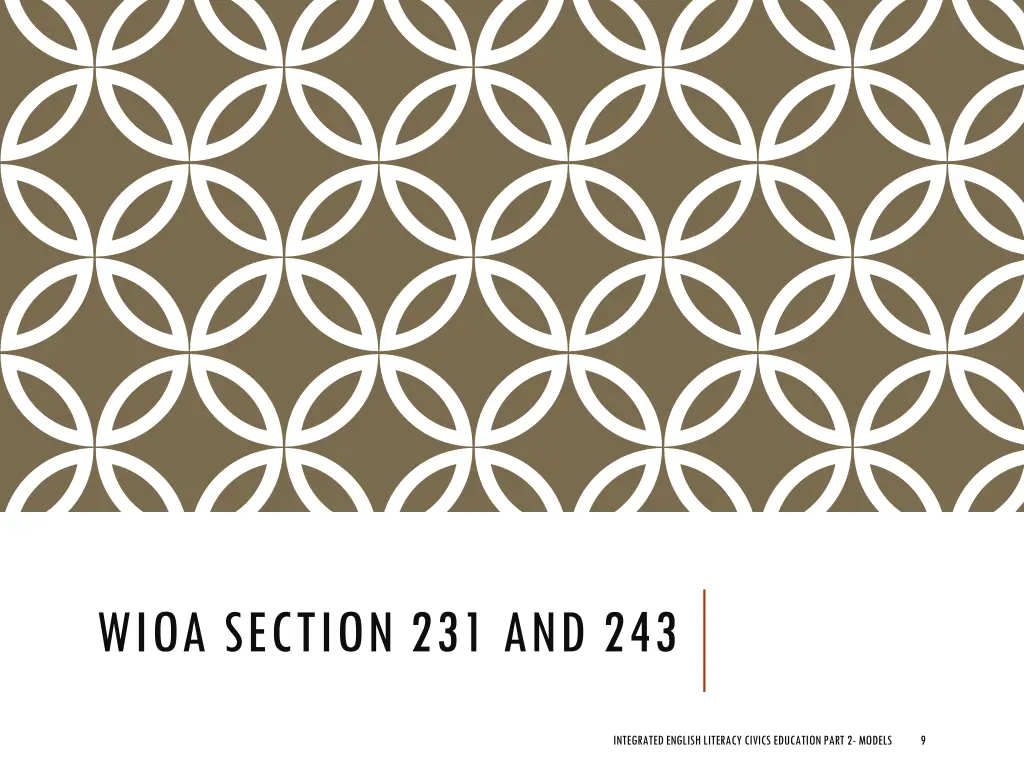 wioa section 231 and 243