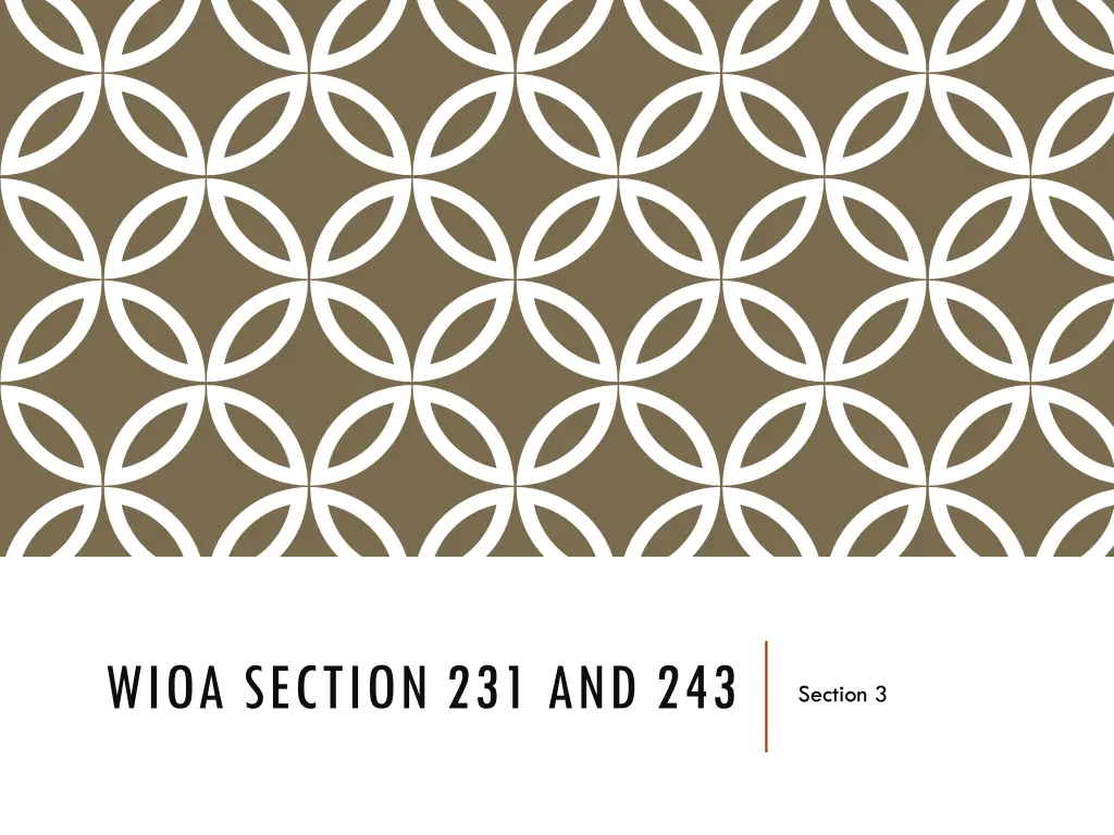 wioa section 231 and 243