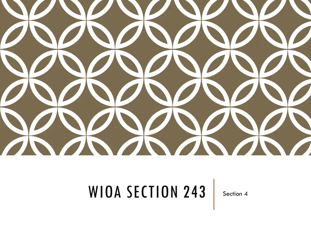 wioa section 243