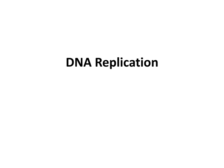 dna replication
