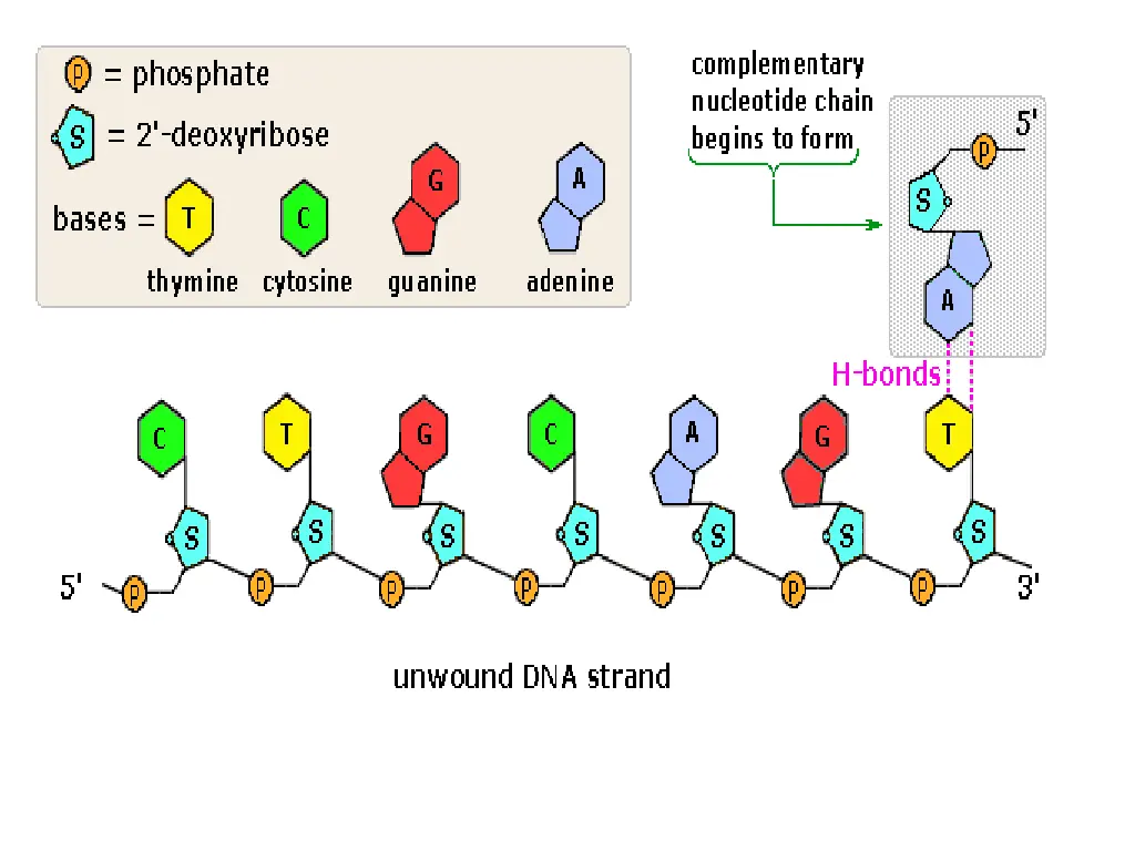 https www2 chemistry msu edu faculty reusch