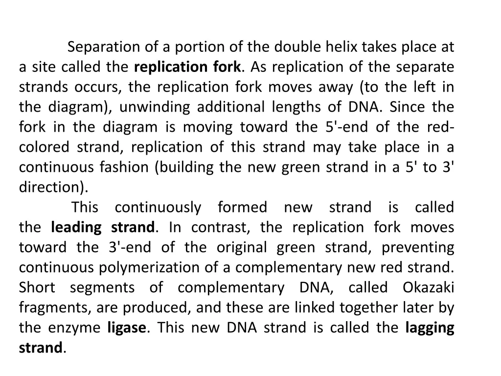 separation of a portion of the double helix takes
