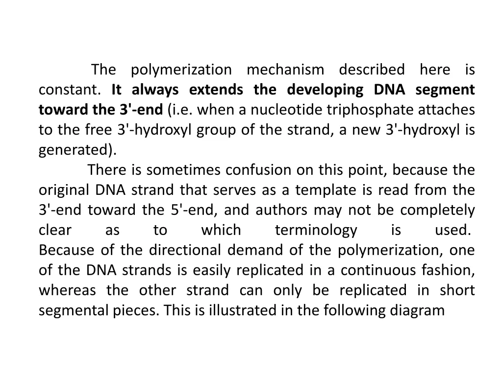 the polymerization mechanism described here