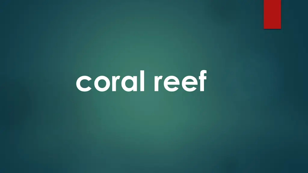 coral reef