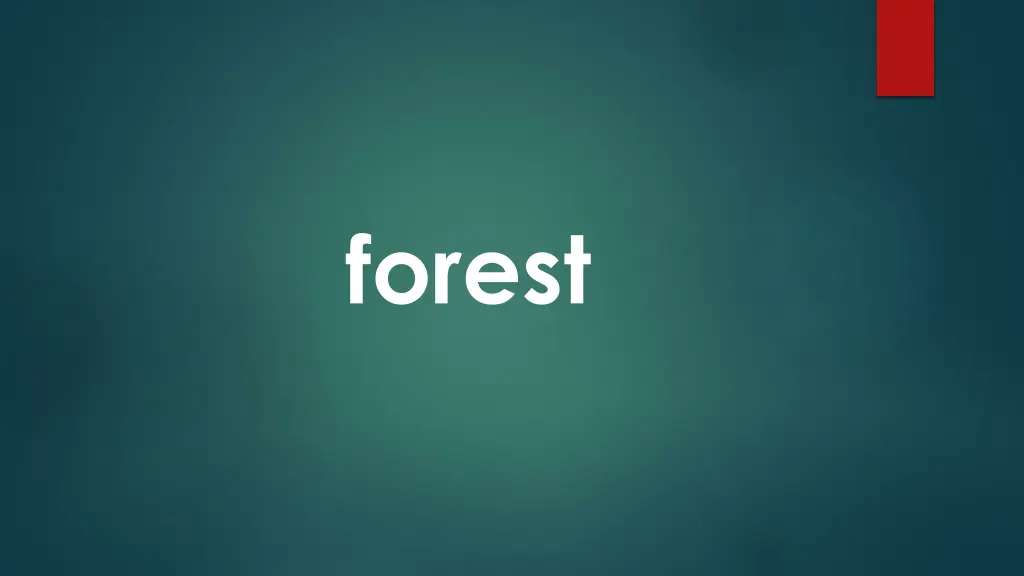 forest