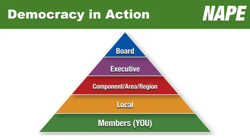democracy in action