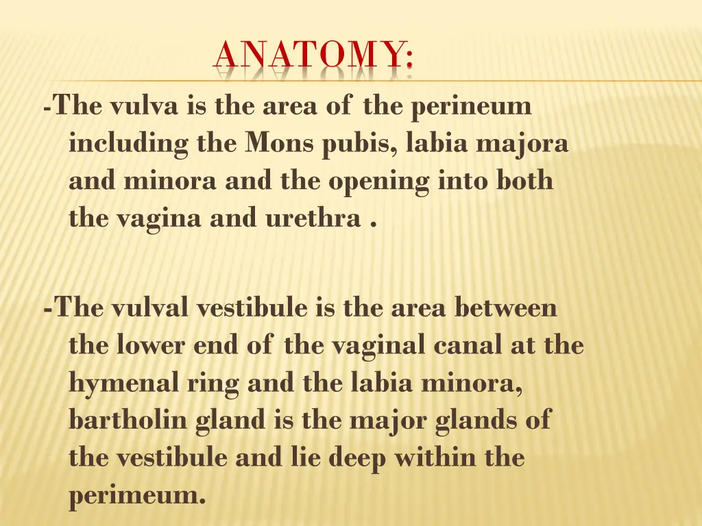 anatomy