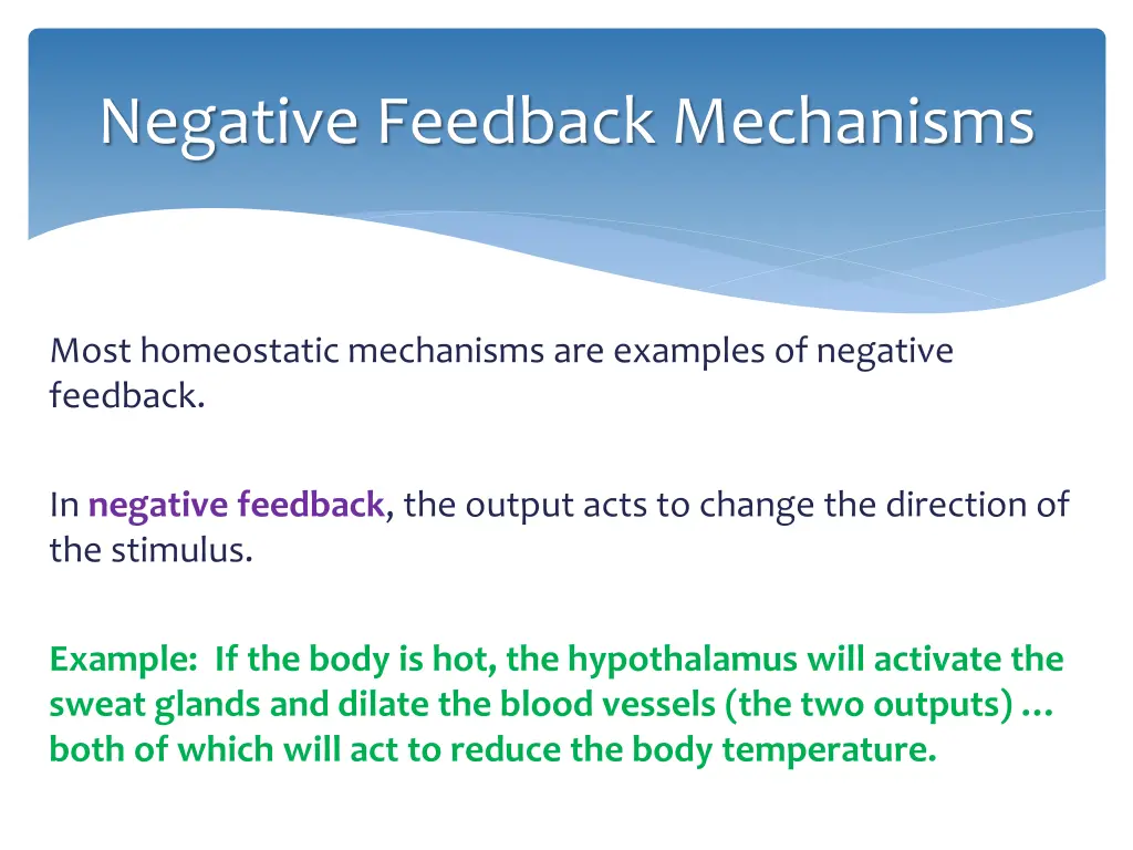 negative feedback mechanisms