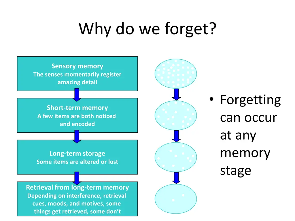 why do we forget