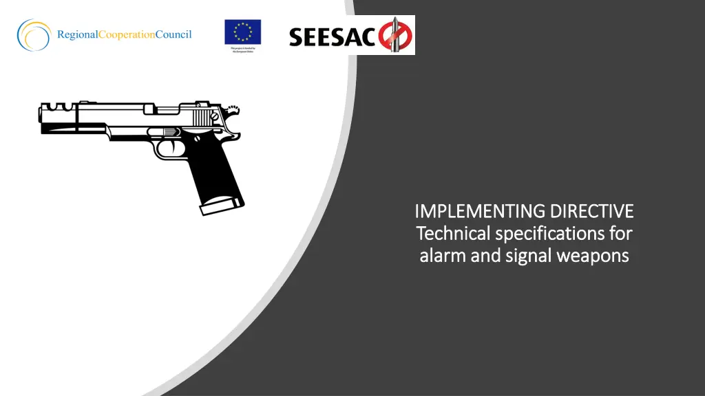 implementing directive implementing directive 1