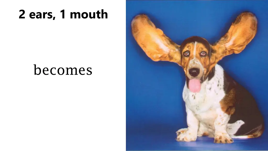 2 ears 1 mouth