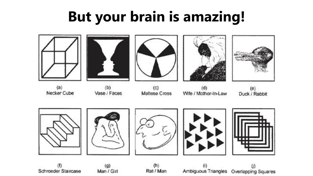but your brain is amazing