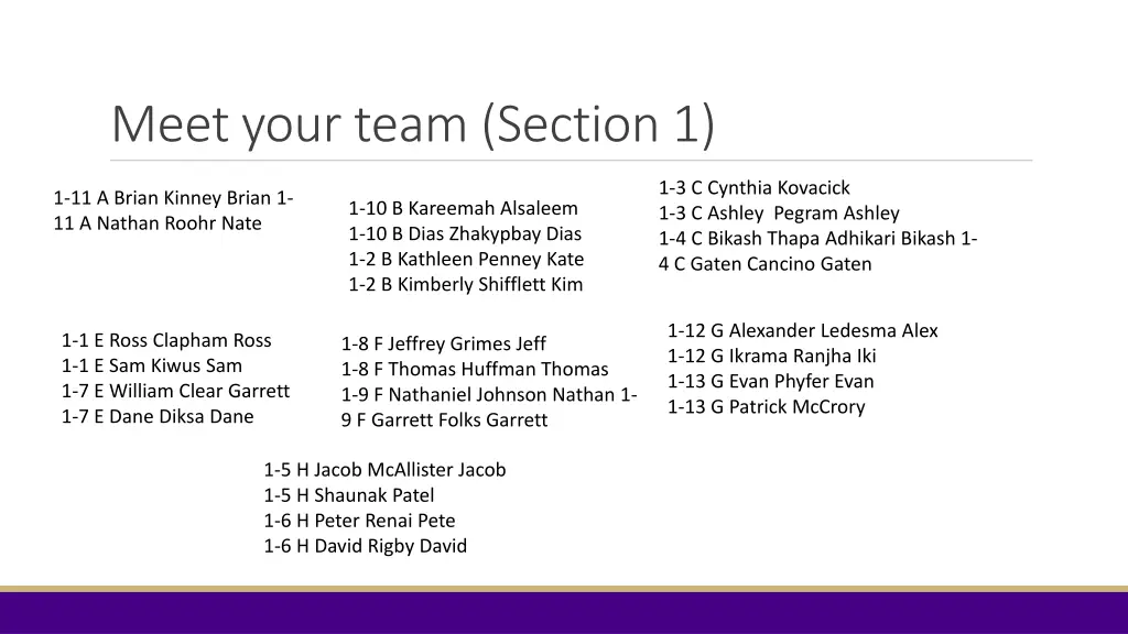 meet your team section 1