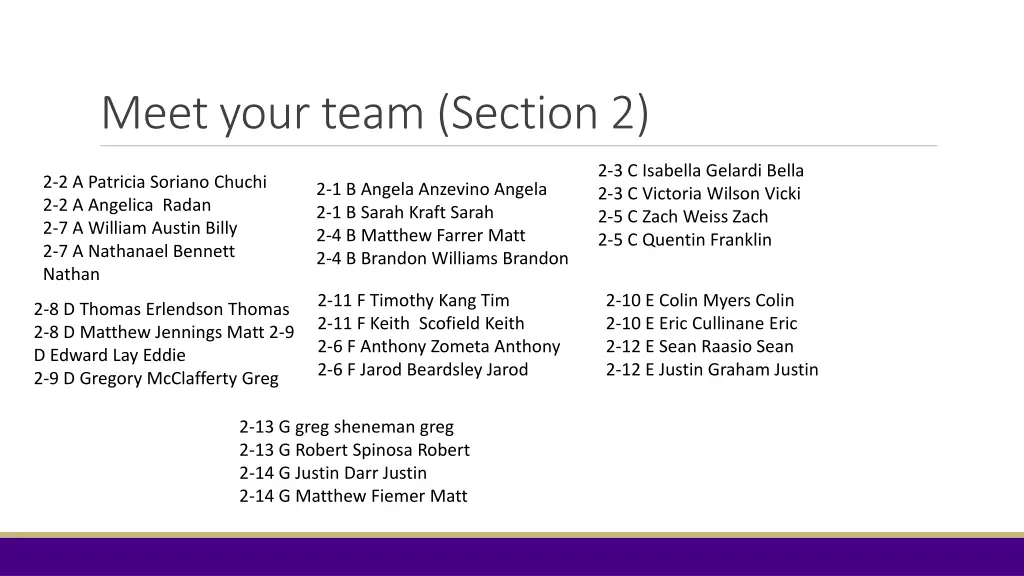 meet your team section 2