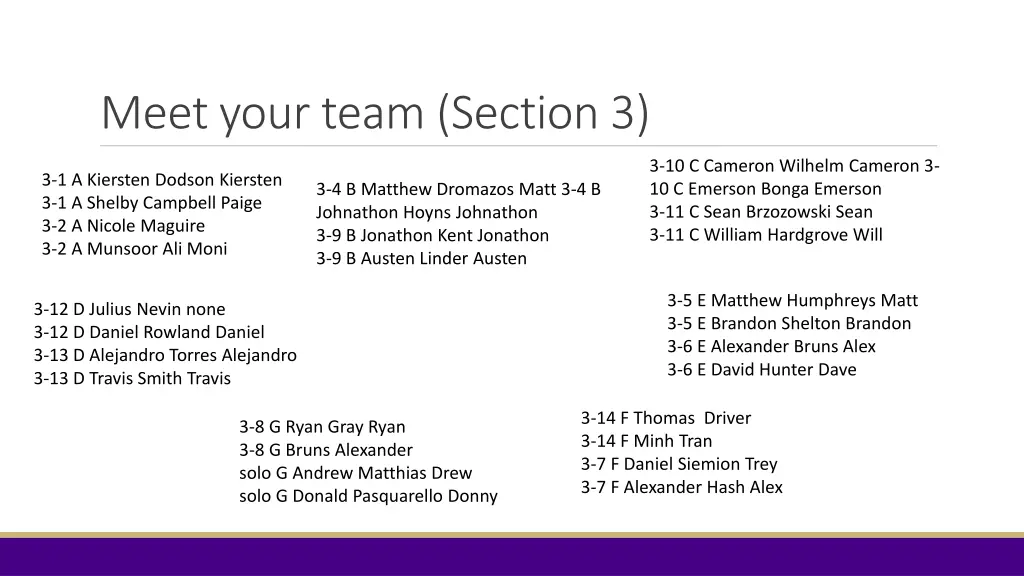 meet your team section 3