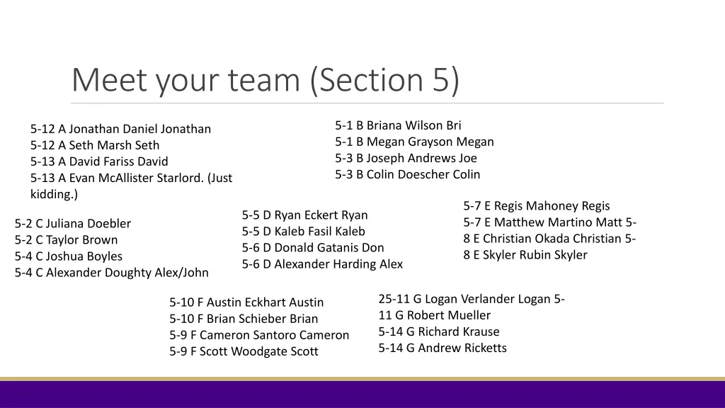 meet your team section 5