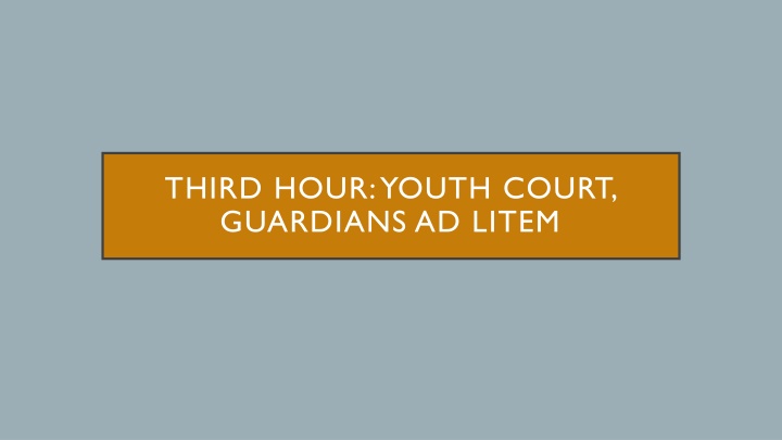 third hour youth court guardians ad litem