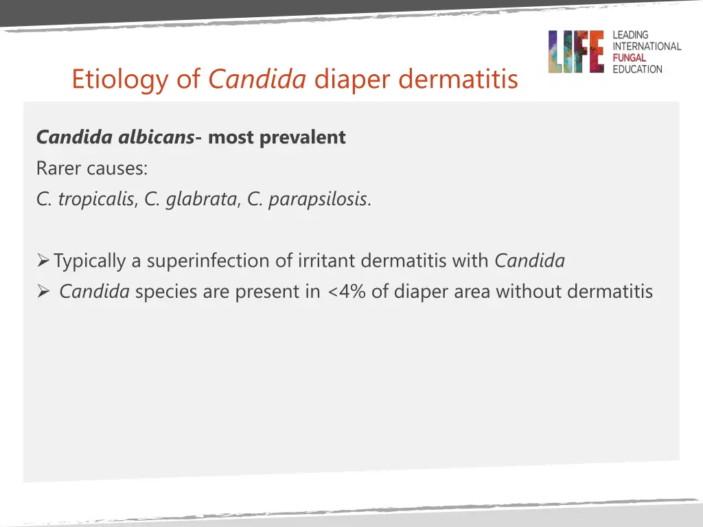 etiology of candida diaper dermatitis