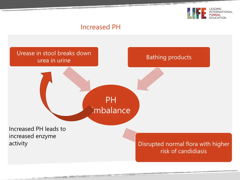 increased ph