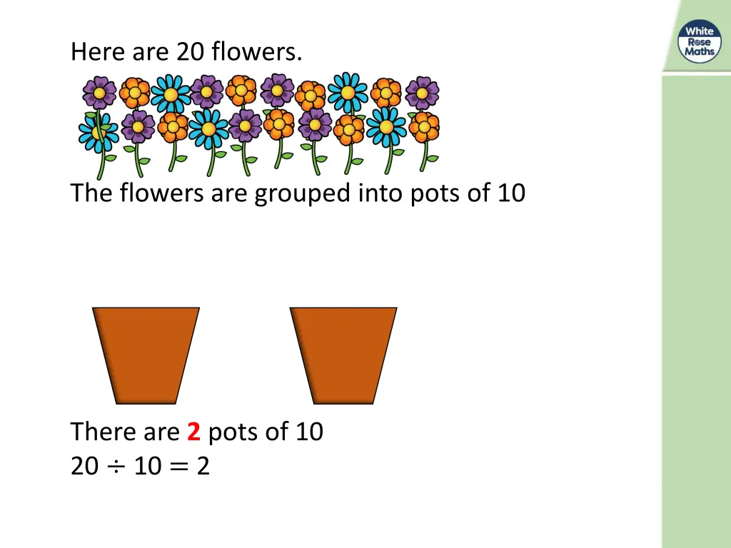 here are 20 flowers 2
