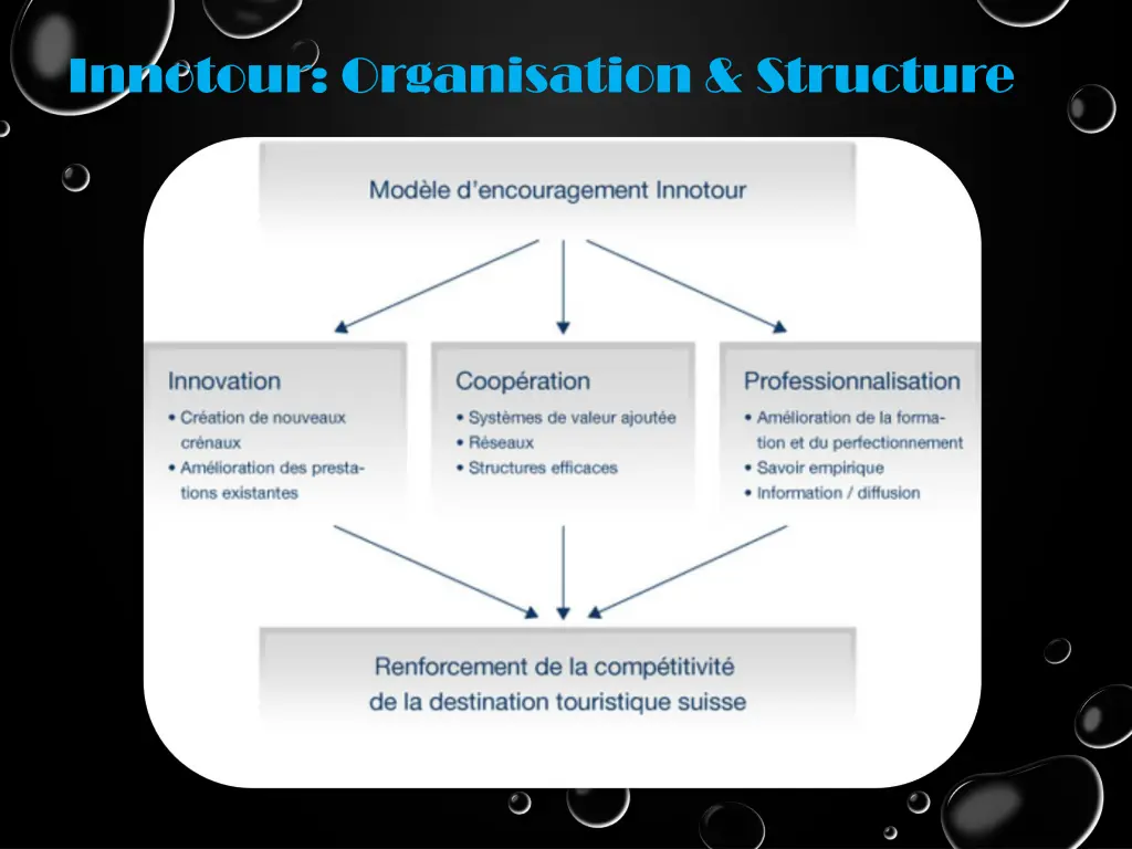 innotour organisation structure