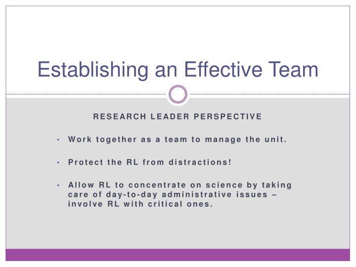 establishing an effective team