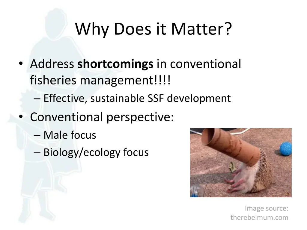 why does it matter