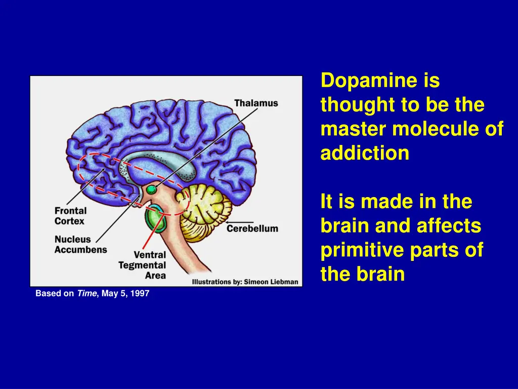 dopamine is thought to be the master molecule