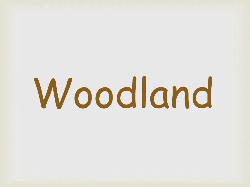 woodland 1