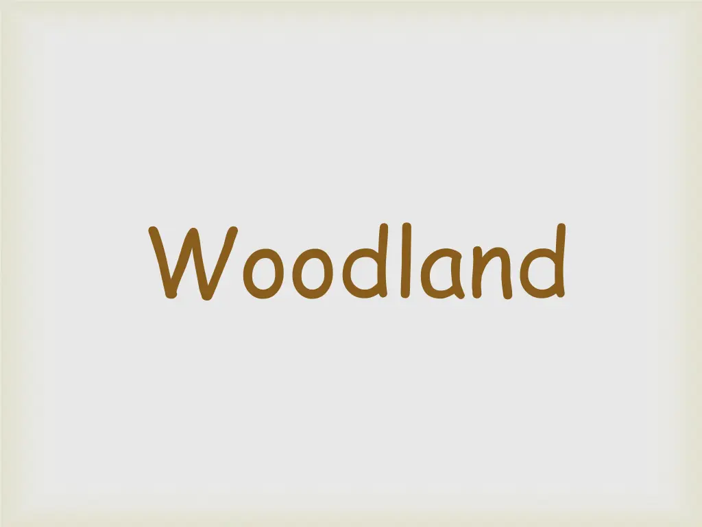 woodland 2