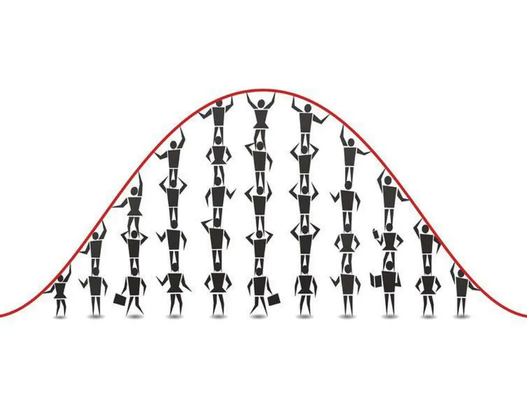 slide8