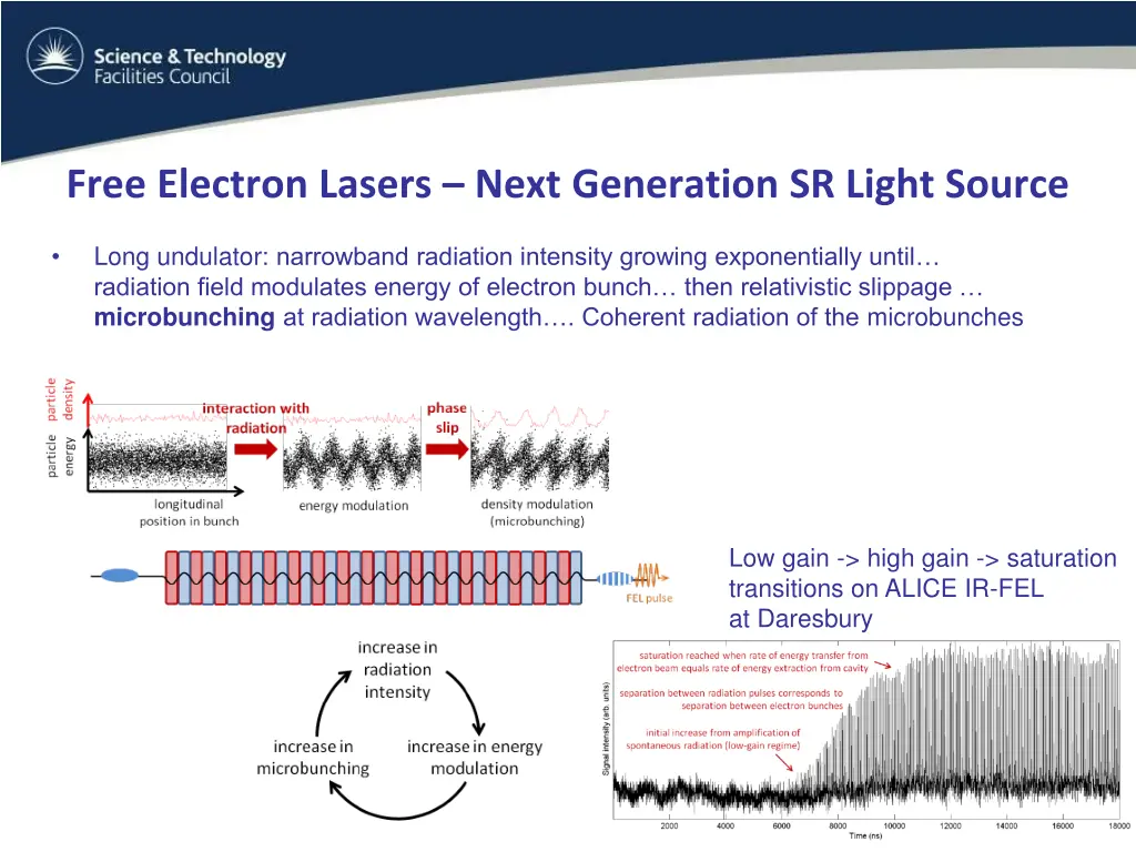 free electron lasers next generation sr light