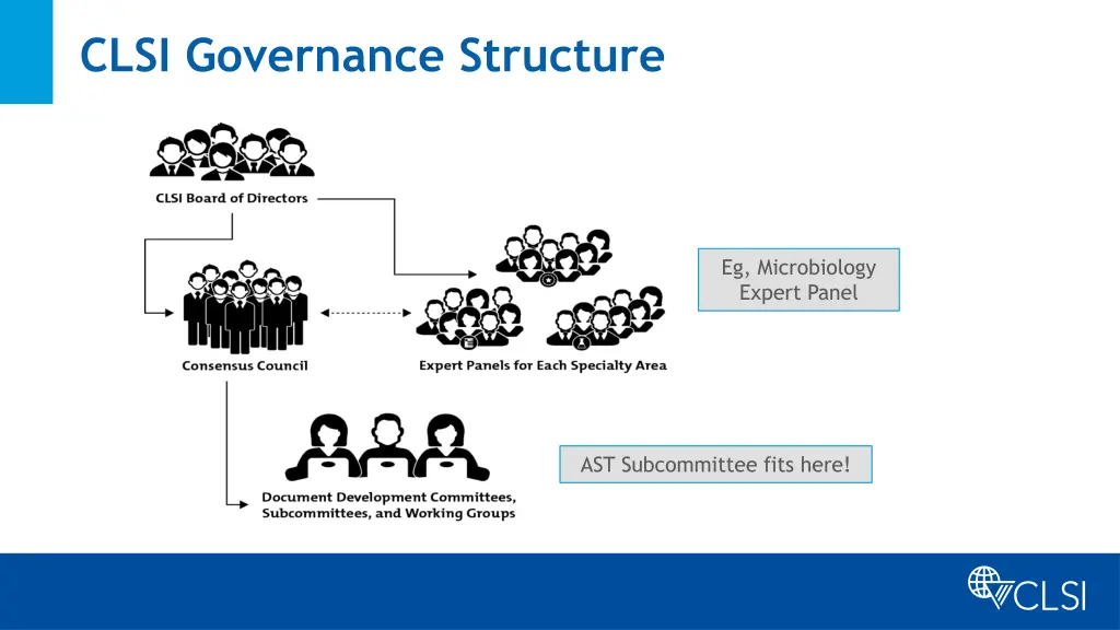 clsi governance structure