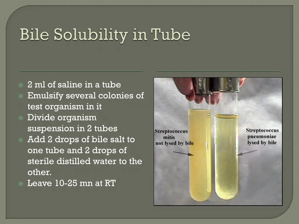 2 ml of saline in a tube emulsify several