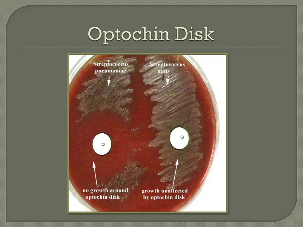 slide11