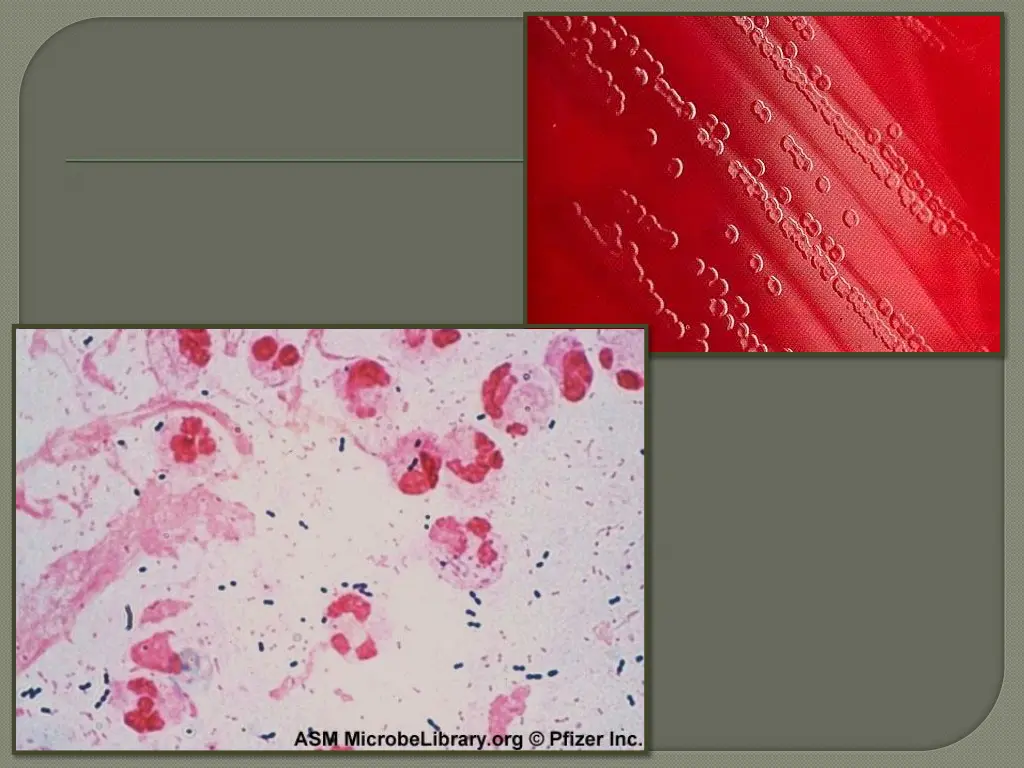 slide16