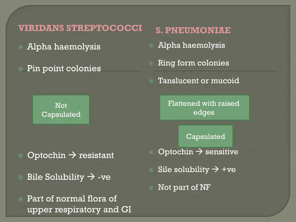 viridans streptococci
