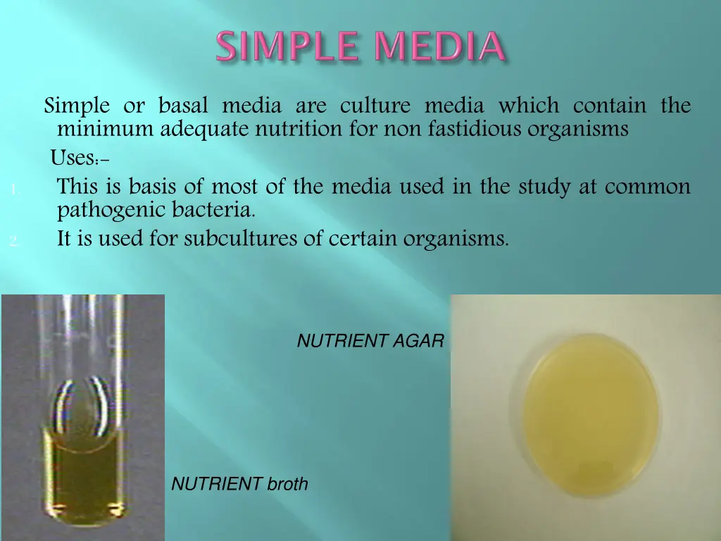 simple or basal media are culture media which