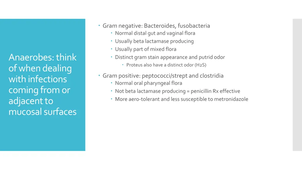 gram negative bacteroides fusobacteria normal