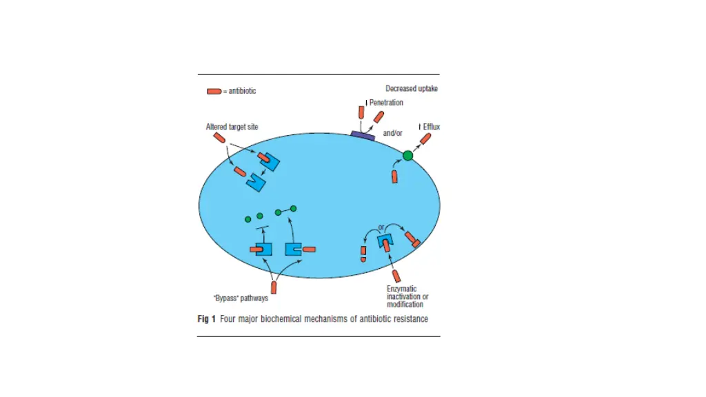 mechanisms of antibiotic resistance pm hawkey
