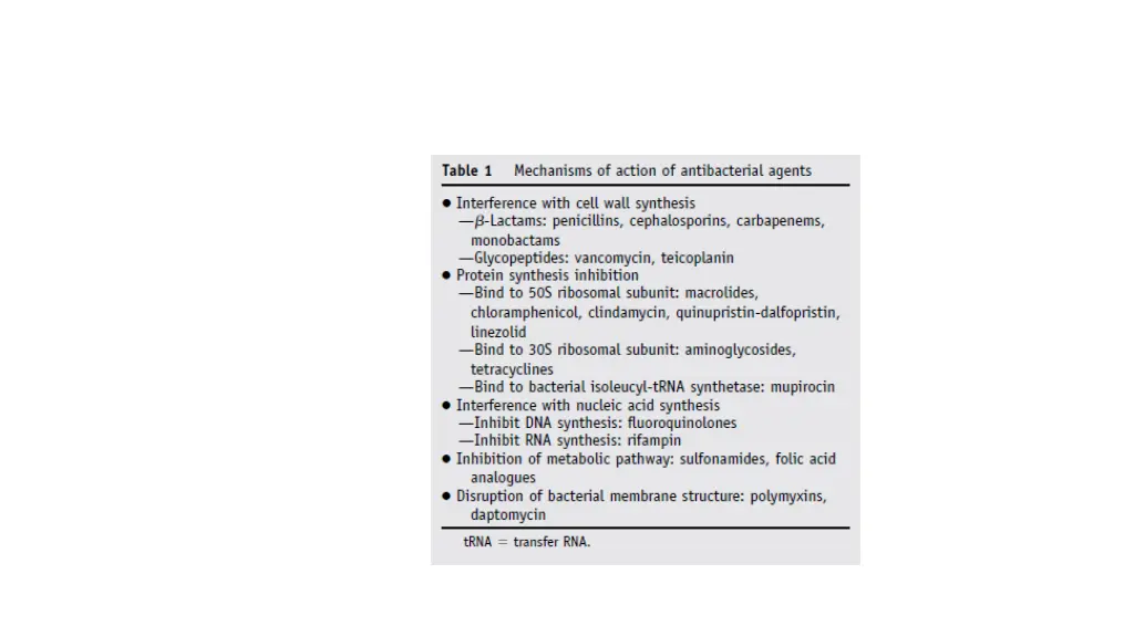 mechanisms of antimicrobial activity