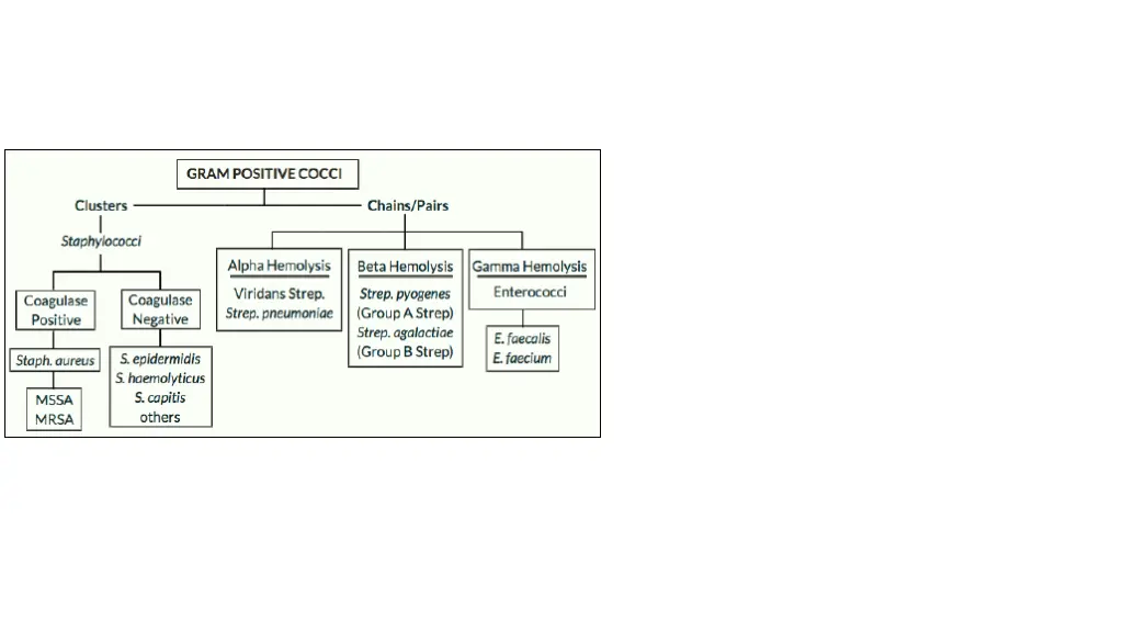 slide3