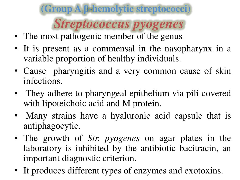 group a hemolytic streptococci streptococcus
