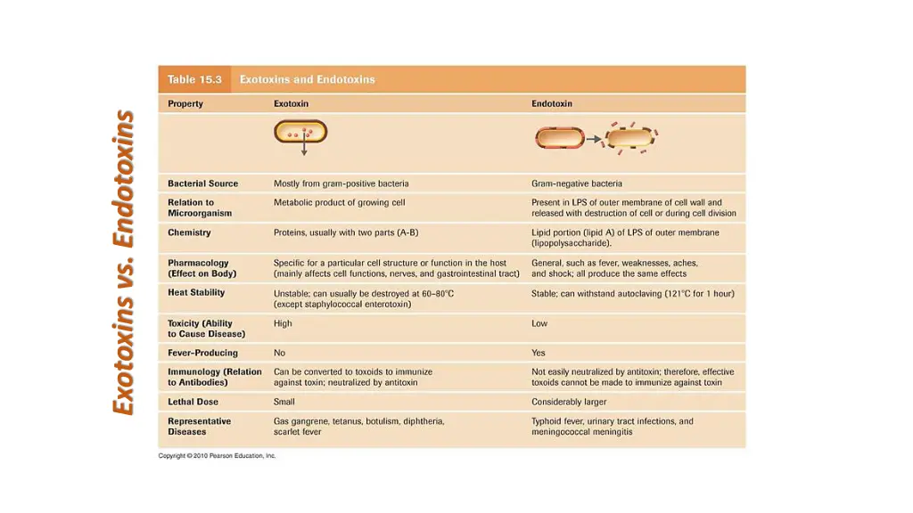 exotoxins vs endotoxins